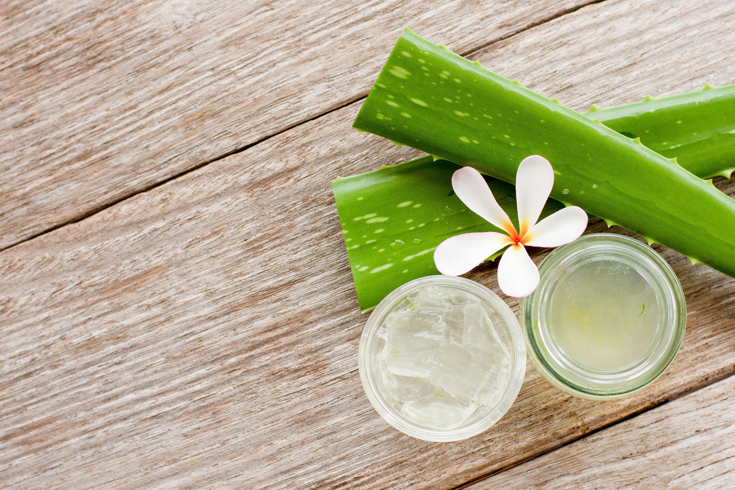 Aloe vera plant and aloe vera gel